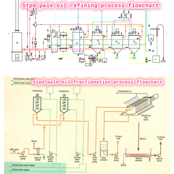 palm oil refining process 