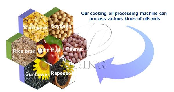 peanut oil press machine 