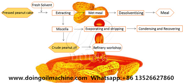 peanut oil solvent extraction process 