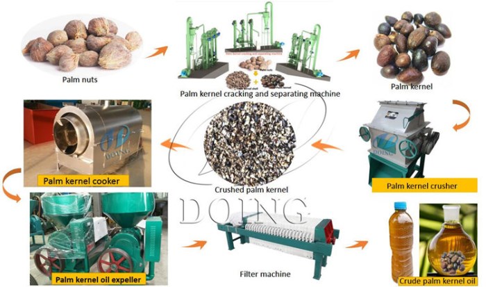 palm kernel oil processing machine 