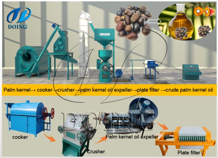 palm kernel oil extraction machine 