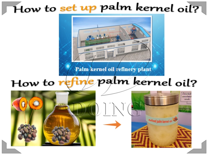 palm kernle oil refinery plant 