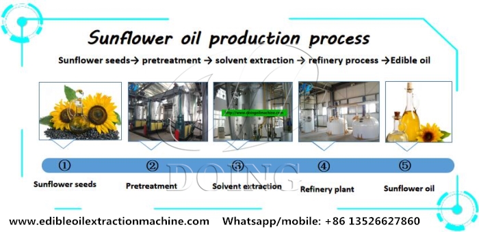 sunflower oil mill plant 