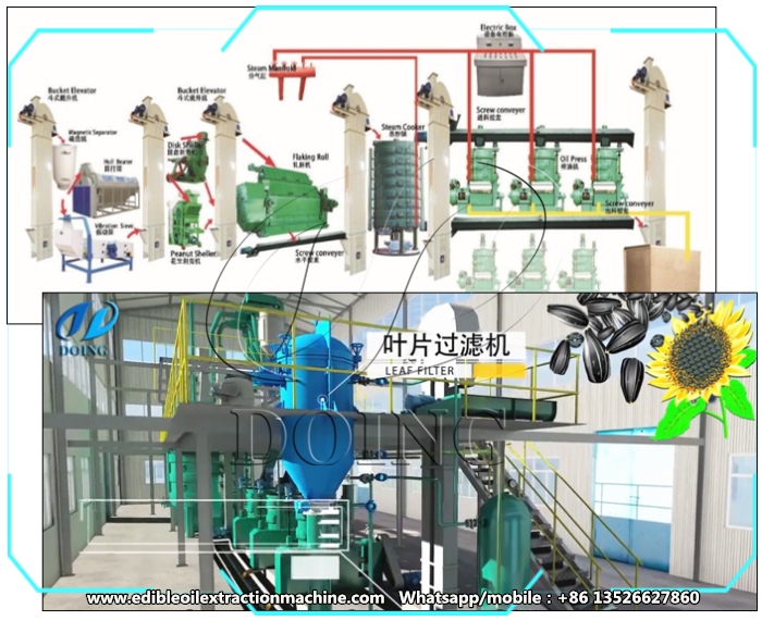 sunflower oil processing machine