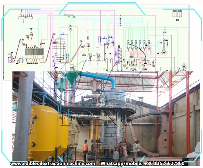 sunflower oil solvent extraction plant 