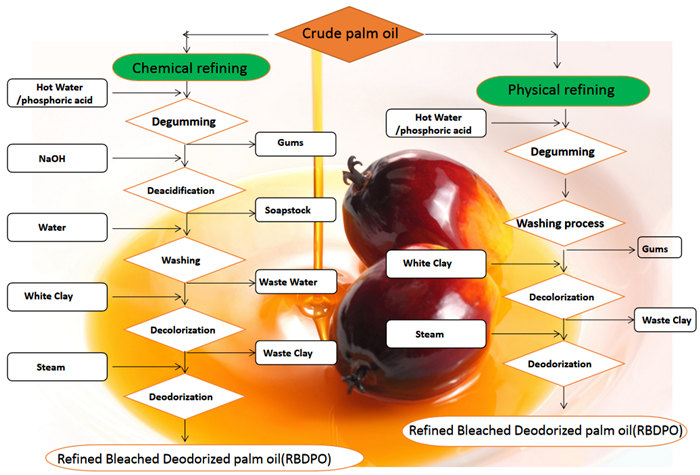 edible oil refining process 