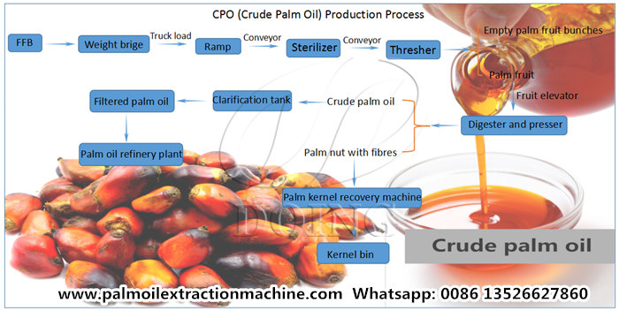 palm oil processing process