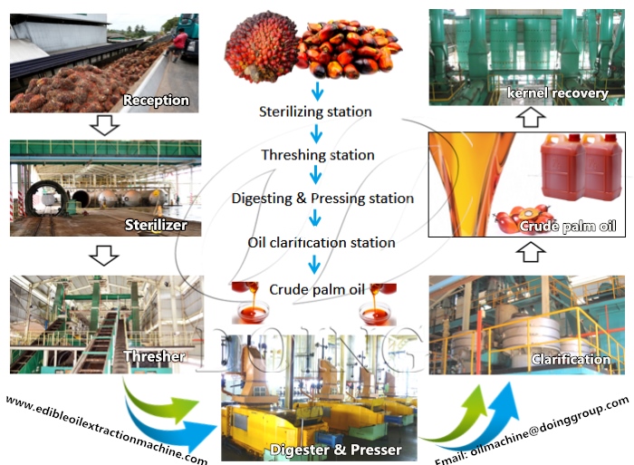 palm oil processing machine 