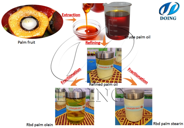 palm oil processing machine 