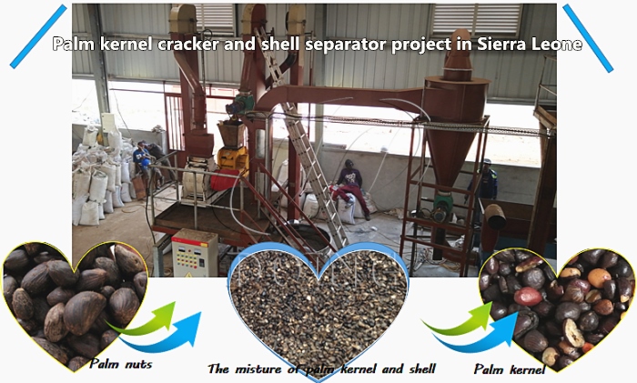 palm kernel cracking and sepating machine