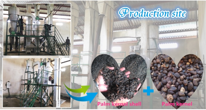 palm nut kernel cracker and separator machine