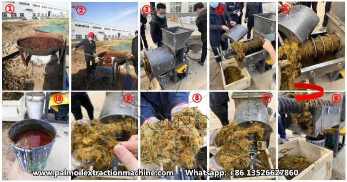 mini palm oil press machine 