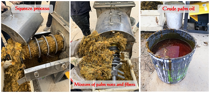 mini palm oil press machine 
