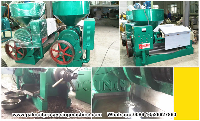 palm kernel oil presser machine