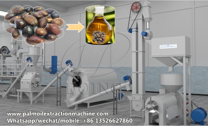 palm kernel oil processing machine 