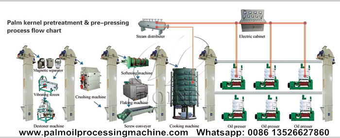 palm kernel oil processing machine 