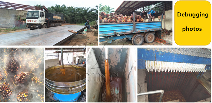 palm oil processing business