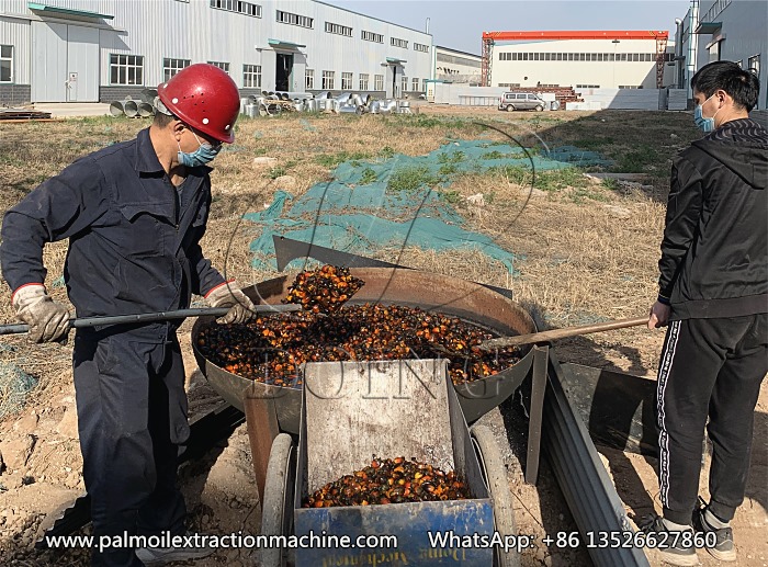 double screw palm oil press machine