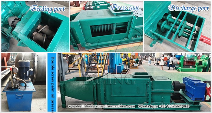 double screw palm oil press machine