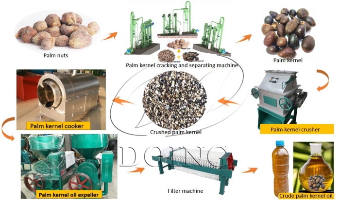 palm kernel oil processing