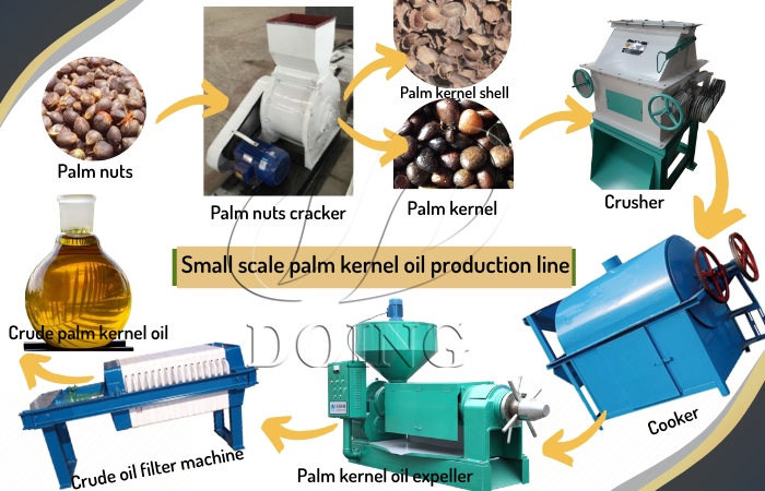 palm kernel oil processing machine