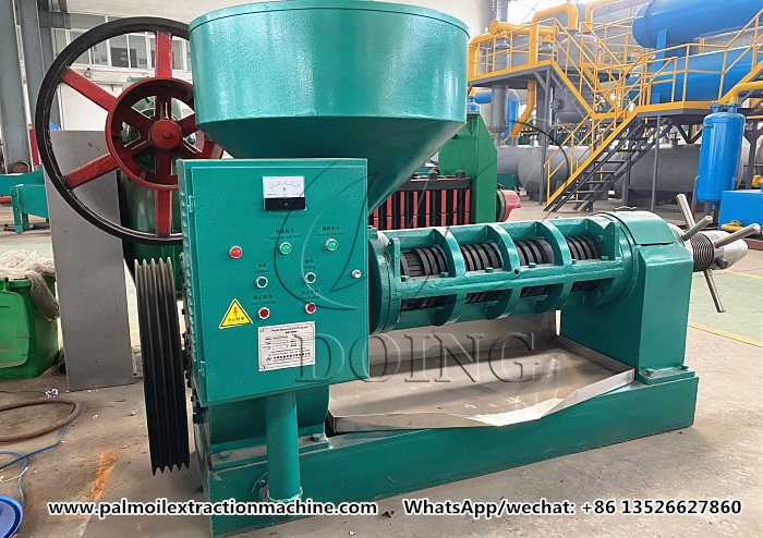 palm kernel oil pressing machine