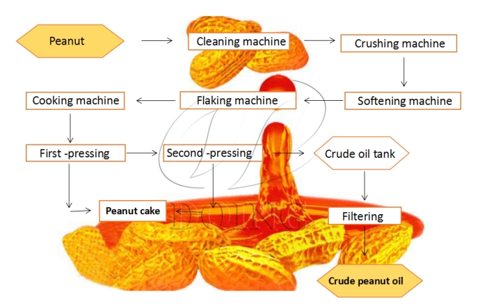 peanut oil processing process