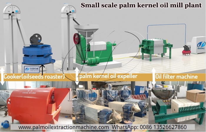 How is palm kernel oil produced?_Palm Oil Extraction FAQ