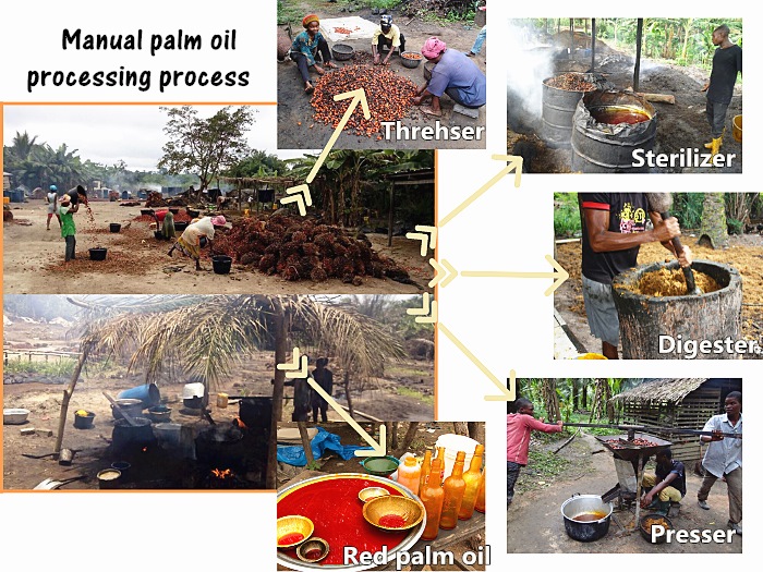 manual palm oil processing process
