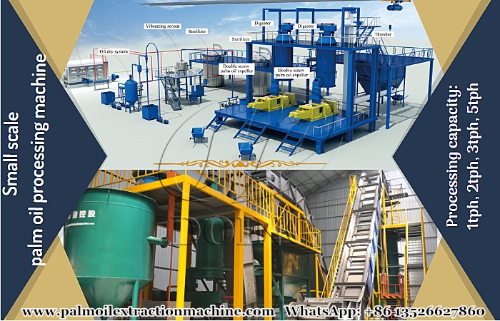 palm oil processing machine