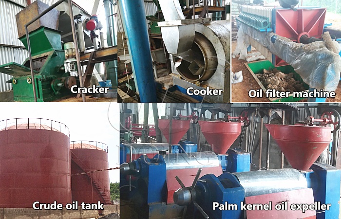 palm kernel oil processing machine