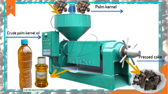 palm kernel oil expeller machine