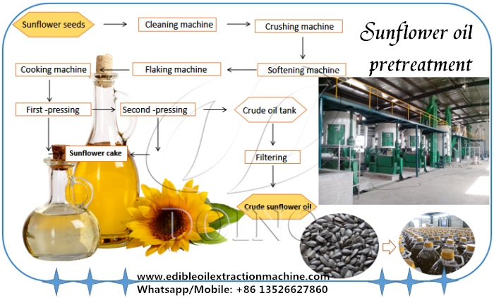 sunflower oil pretreatment and pressing process