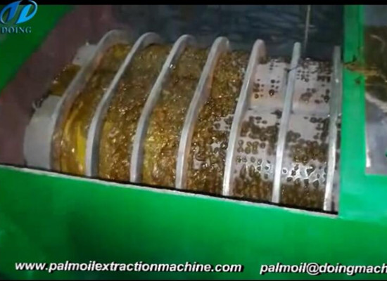 palm oil extracting machine
