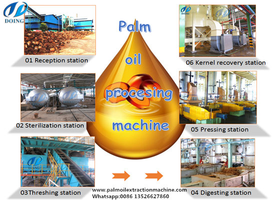 What palm oil machine can be offered by Henan Doing Company?