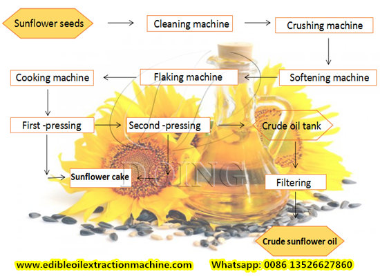 Sunflower oil processing process flow chart