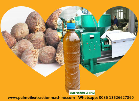 What machine are used in palm kernel oil processing process?