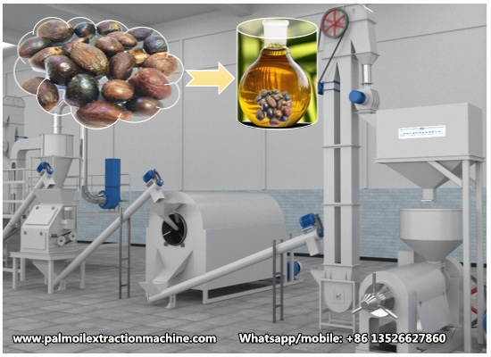 Small scale palm kernel oil press production machine 3D animation video