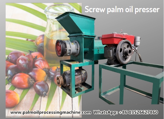 Sierra Leone customer choose to buy palm oil press machine from Henan Glory Company
