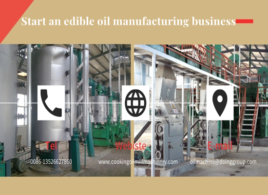 Is now a good time to start an edible oil production business?