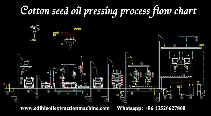 Cottonseed oil pressing process flow chart