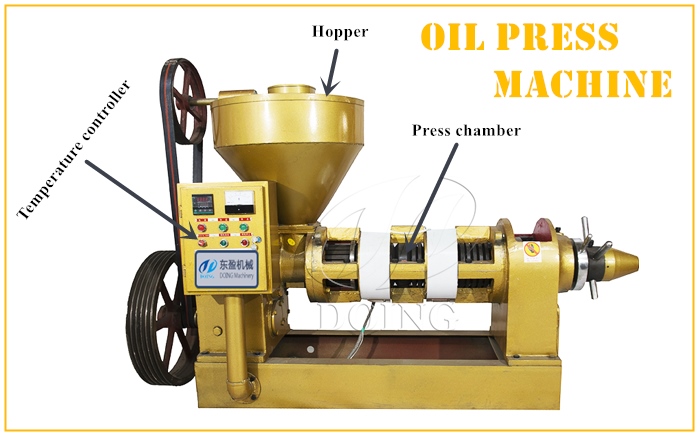 Conventional oil expeller machine 
