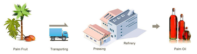 palm oil production process