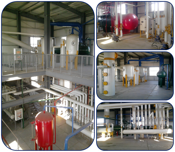 corn germ oil extraction machine