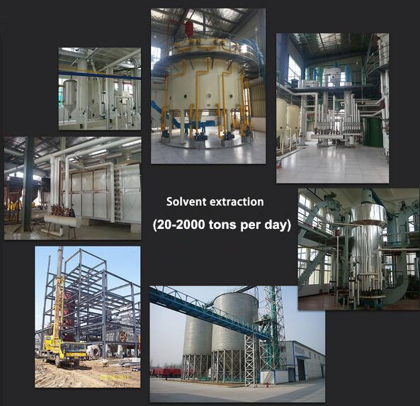 rice bran oil extraction machine