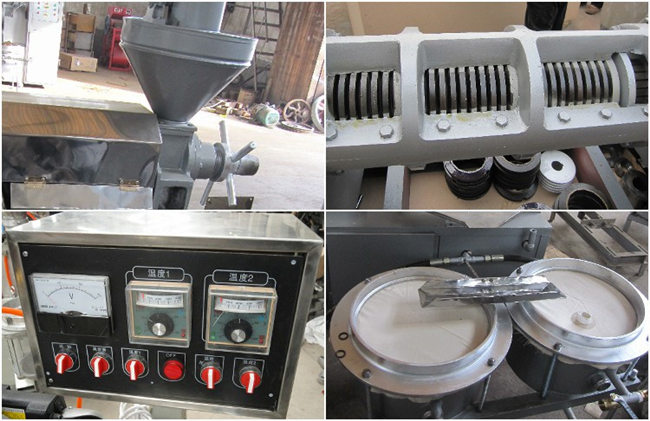 corn germ oil press machine 