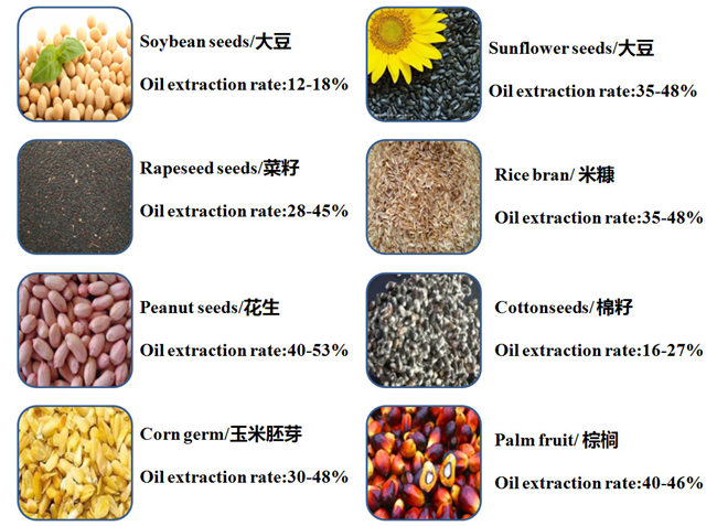 oilseeds