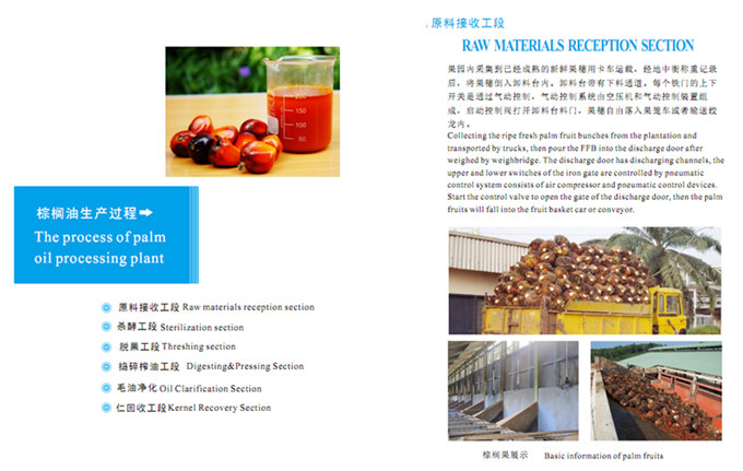 palm oil mill process