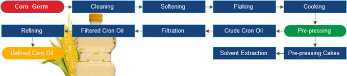 corn germ oil production machine 