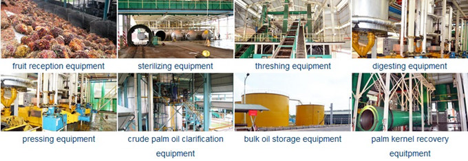 palm oil production process 